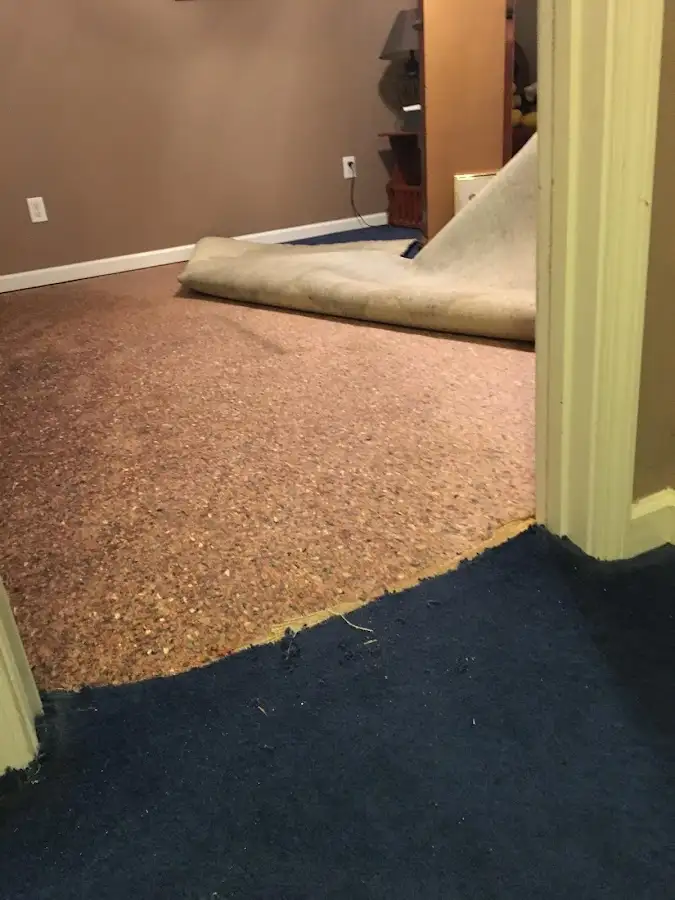 Carpet pad removal revealing water damage during Water Mitigation Services in Hermon