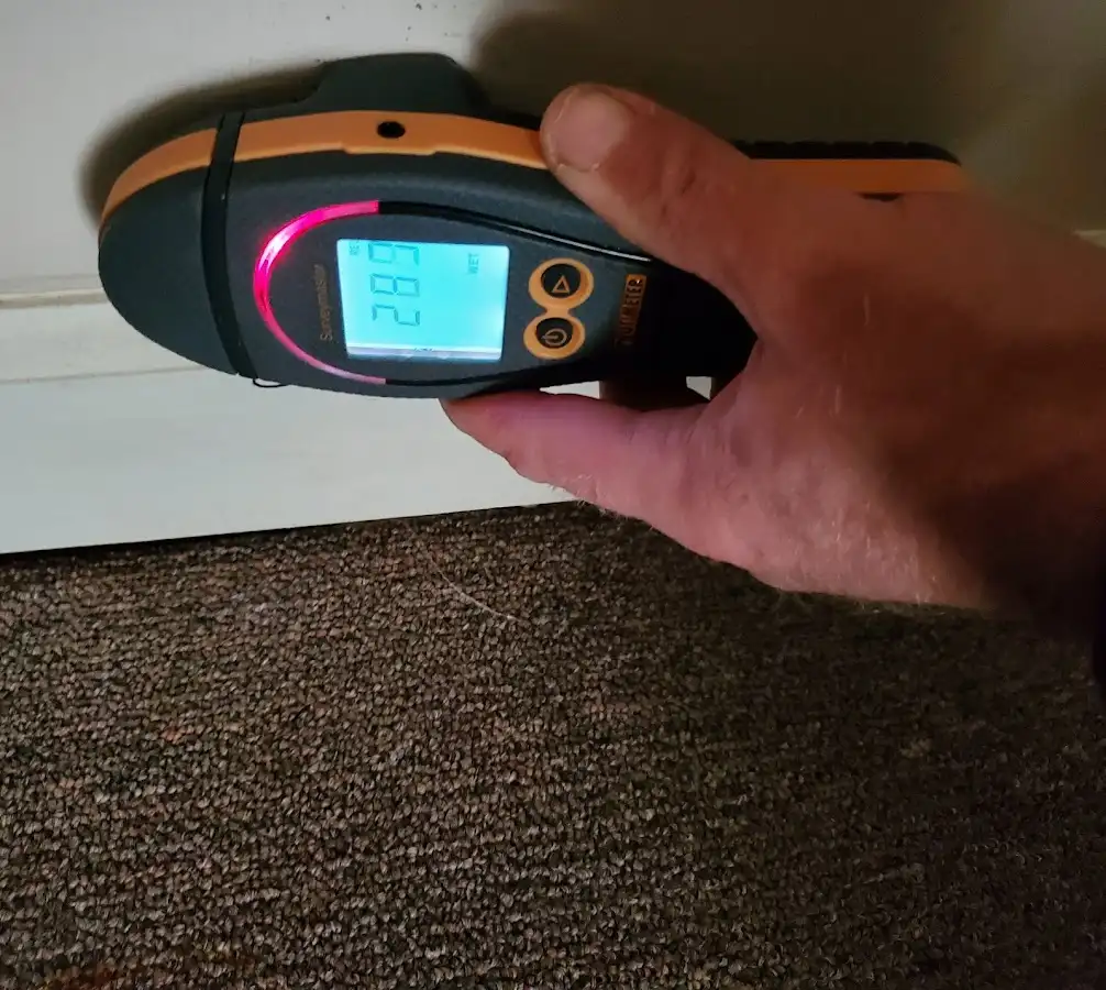 Moisture detection at baseboard during Sewage Cleanup & Sanitation in Hermon